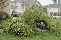 2004-12 017 Abby builds a fort